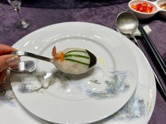 -丁老爷子苏香圆