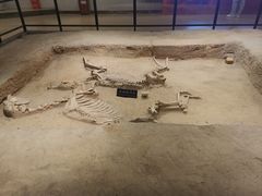 -洛阳周王城天子驾六博物馆