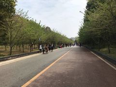 -团城山公园