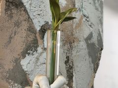 -花花炸串(总店)