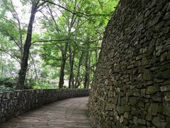 -木兰云雾山