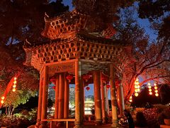 -荔湾湖公园
