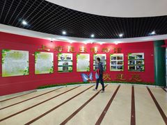 -上海昆虫博物馆