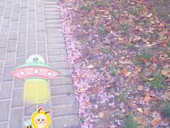 -崇明东平国家森林公园烧烤房车露营地