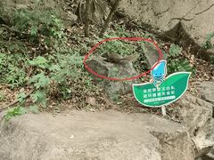 -北京鹫峰国家森林公园