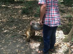 -旗山国家森林公园