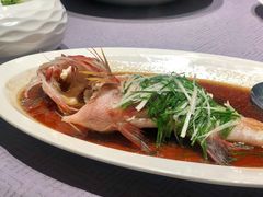 泡椒蒸深海红东星斑-皇朝会.经典传统粤菜(外滩店)
