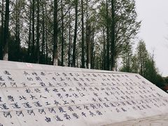 -澹台湖公园