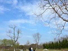 -春花秋色城市公园