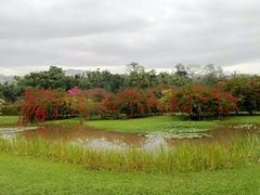 -中国科学院西双版纳热带植物园