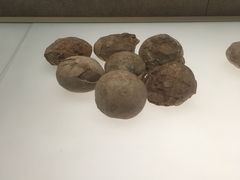 -信阳博物馆