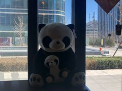-ZOO COFFEE动物园咖啡(望京锐创店)
