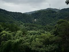 -长沙黑麋峰国家森林公园