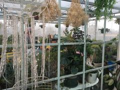 -小时光咖啡馆(北锣鼓巷店)