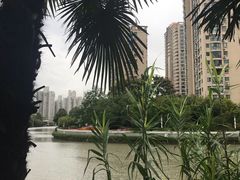 -新湖明珠城