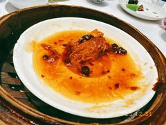 -新雅粤菜馆(南京东路店)