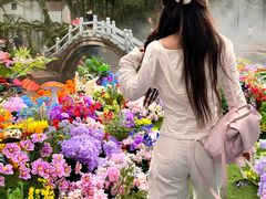 -洛阳白云山景区