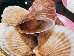 -半岛听涛蒸汽海鲜自助(K11店)