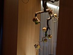 -鱼你相聚·河鲜馆(袁家岭店)