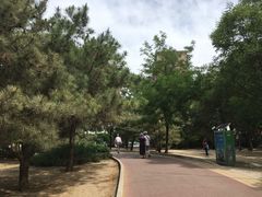 -方庄体育公园