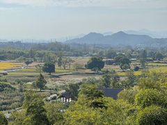 -良渚古城遗址公园