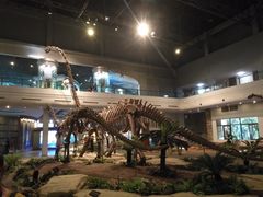 -自贡恐龙博物馆