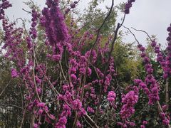 -Beans Solo豆号咖啡(百家湖花园店)