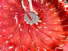 -快乐小羊(富强中路店)