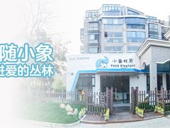 门面-小象托育