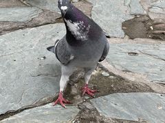 -厦门园林博览苑