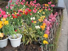 -金鸡山公园