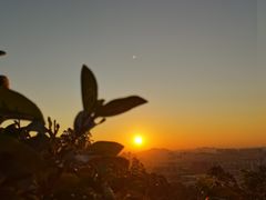 -火炉山森林公园