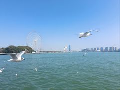 -无锡蠡湖国家湿地公园-蠡园
