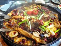 -老板恋上鱼(恒隆广场店)