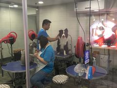 -PETKIT小佩宠物(古北店)