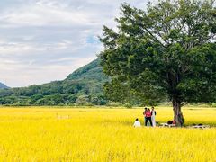 -风云岭森林公园