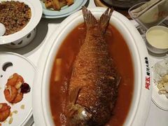 -阿五黄河大鲤鱼(海尚店)