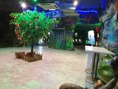 -上海大自然野生昆虫馆(东方明珠·爬宠昆虫探索中心)