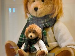 -济州岛泰迪熊博物馆