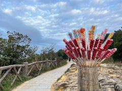 -梧桐山风景名胜区
