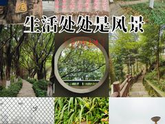 -重庆平顶山公园