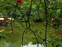 -侨美·唐荔园·40年地道粤菜