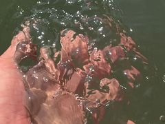 -动邦皮划艇·桨板·独木舟·团建户外运动俱乐部