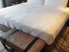 -新加坡瑞士史丹福酒店