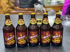 -金塔沙漠胡杨林景区