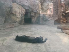 -南昌动物园