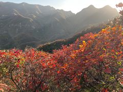 -水峪民俗村