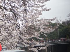 -红星桥(地铁站)