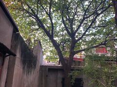-书隐楼
