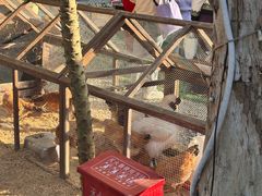 -HERRE·FARM 赫尔露营农场·团建聚会包场